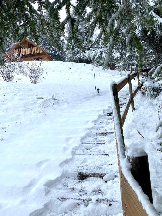 Chalet De La Grimpette Au Coeur De Gérardmer Eksteriør billede