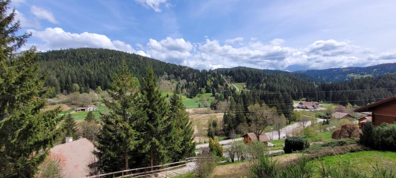 Chalet De La Grimpette Au Coeur De Gérardmer Eksteriør billede