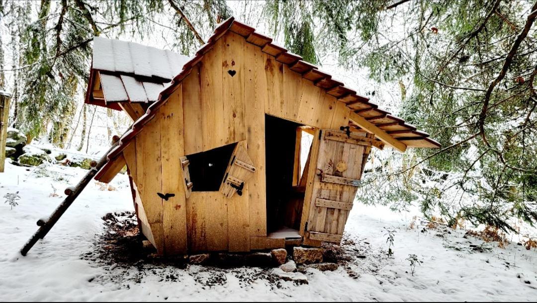 Chalet De La Grimpette Au Coeur De Gérardmer Eksteriør billede